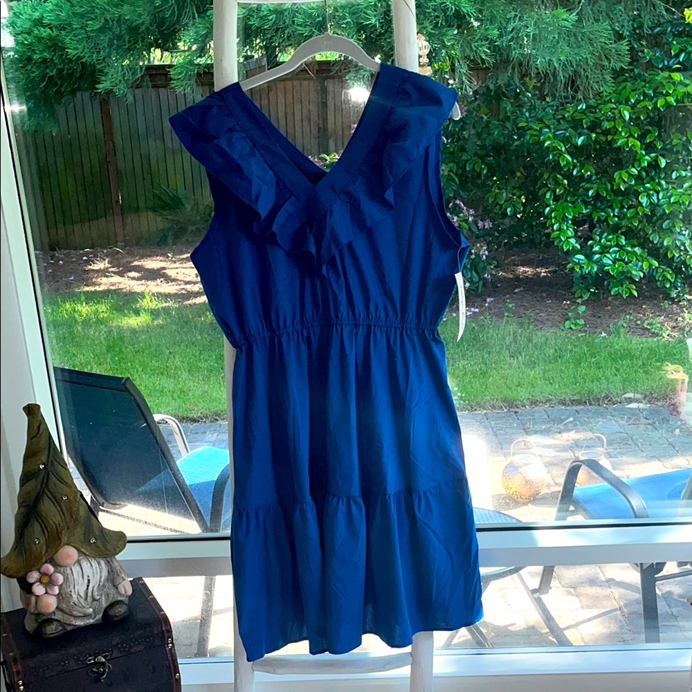 Indigo Rose Blue Sleeveless Ruffle Dress
